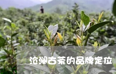 沧澜古茶的品牌定位/2023032160582