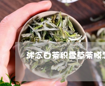 沭念白茶积雪草茶膜怎么样/2023040961825