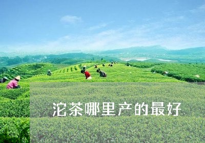 沱茶哪里产的最好/2023032460717