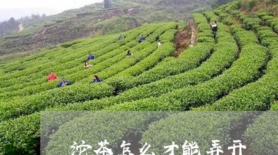 沱茶怎么才能弄开/2023032485929