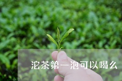 沱茶第一泡可以喝么/2023032174848