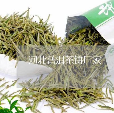 河北普洱茶饼厂家/2023041044615