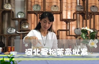 河北曼松茶膏批发/2023032218503