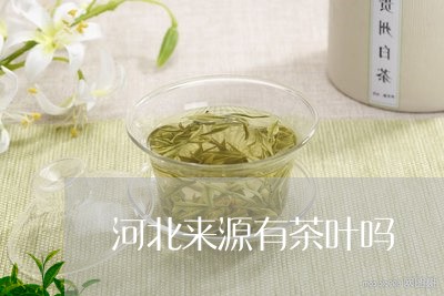 河北来源有茶叶吗/2023032699492