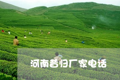 河南昔归厂家电话/2023032302795