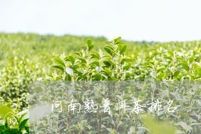 河南熟普洱茶排名/2023041005048