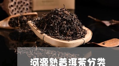 河源熟普洱茶分类/2023041021403