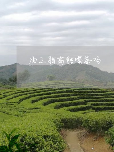 油三脂高能喝茶吗/2023041629403