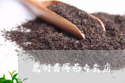 泉州普洱茶专卖店/2023040136369