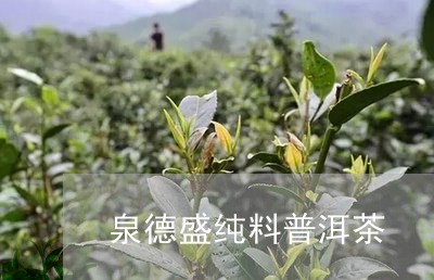 泉德盛纯料普洱茶/2023033141626