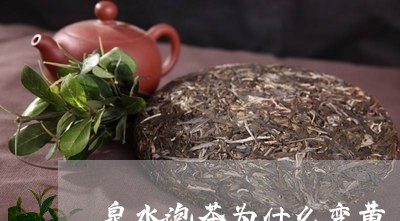 泉水泡茶为什么变黄/2023041672605