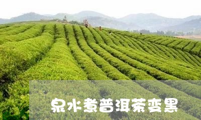 泉水煮普洱茶变黑/2023041033595