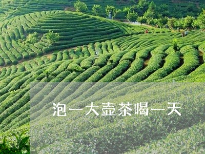 泡一大壶茶喝一天/2023032295247