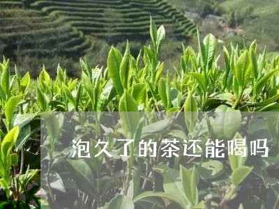 泡久了的茶还能喝吗/2023031884836