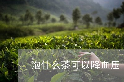 泡什么茶可以降血压/2023041573826