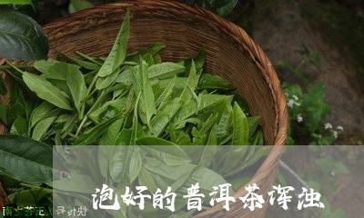 泡好的普洱茶浑浊/2023031627060