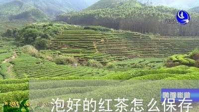 泡好的红茶怎么保存/2023041578350