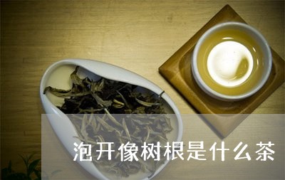 泡开像树根是什么茶/2023041513737