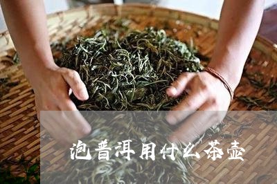 泡普洱用什么茶壶/2023032905059