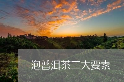 泡普洱茶三大要素/2023033182726