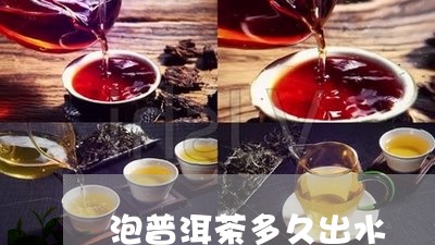 泡普洱茶多久出水/2023040973715