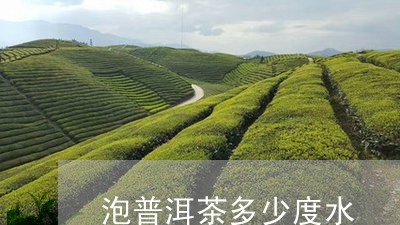 泡普洱茶多少度水/2023033039604