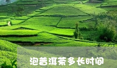 泡普洱茶多长时间/2023033016263