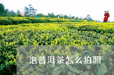 泡普洱茶怎么拍照/2023041304906