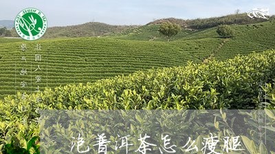 泡普洱茶怎么瘦腿/2023040187269