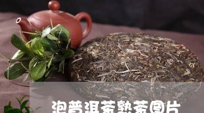 泡普洱茶熟茶图片/2023041145159