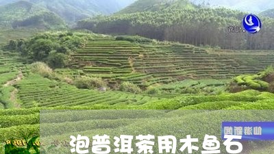 泡普洱茶用木鱼石/2023033116362