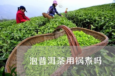 泡普洱茶用锅煮吗/2023033112704