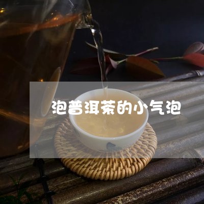 泡普洱茶的小气泡/2023040128460