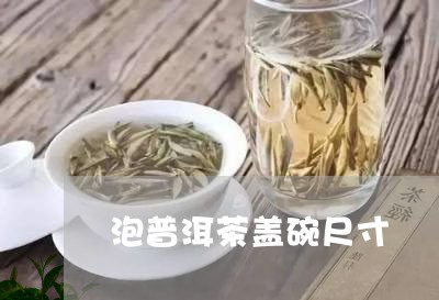 泡普洱茶盖碗尺寸/2023041037269