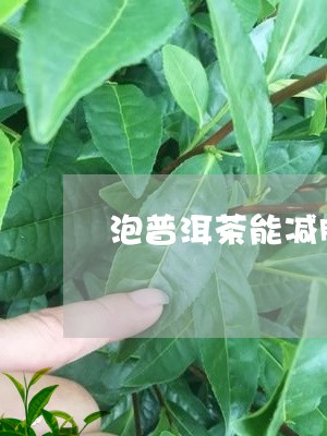 泡普洱茶能减肥吗/2023040126269