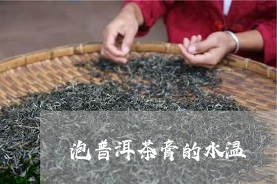 泡普洱茶膏的水温/2023040134292