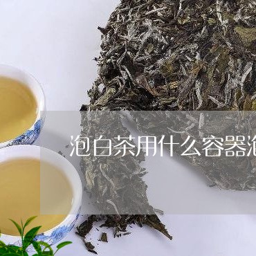 泡白茶用什么容器泡好一点/2023041218682