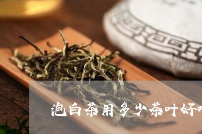 泡白茶用多少茶叶好喝一点/2023041226249