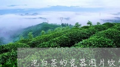 泡白茶的瓷器图片欣赏大全/2023040994947