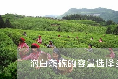 泡白茶碗的容量选择多大/2023040926059