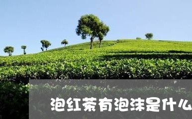 泡红茶有泡沫是什么/2023041686082