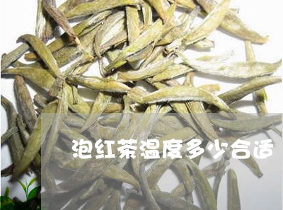 泡红茶温度多少合适/2023031864036