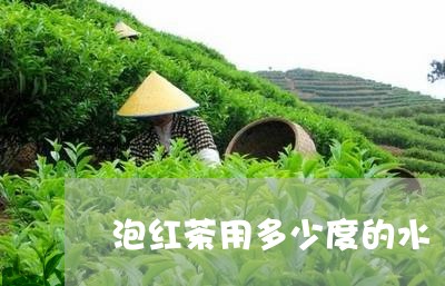 泡红茶用多少度的水/2023031860816