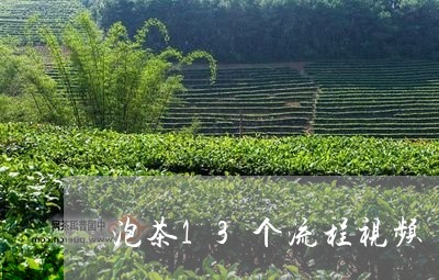 泡茶13个流程视频/2023041660594