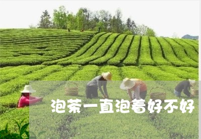 泡茶一直泡着好不好/2023041635069