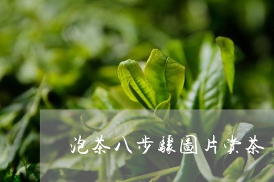 泡茶八步骤图片赏茶/2023041668163