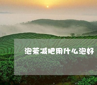 泡茶减肥用什么泡好/2023041684948