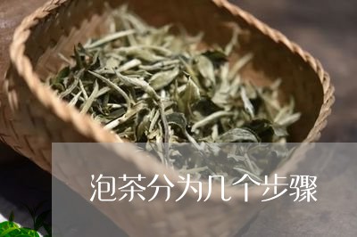 泡茶分为几个步骤/2023032449604