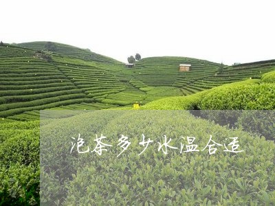 泡茶多少水温合适/2023032560625