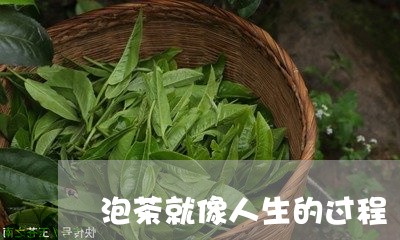 泡茶就像人生的过程/2023041645164